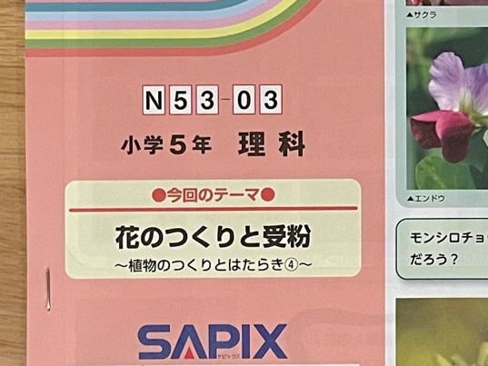 サピックス 夏期講習 理科 N53-03